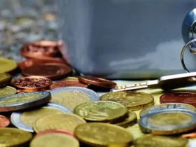 Umiejętności finansowych
